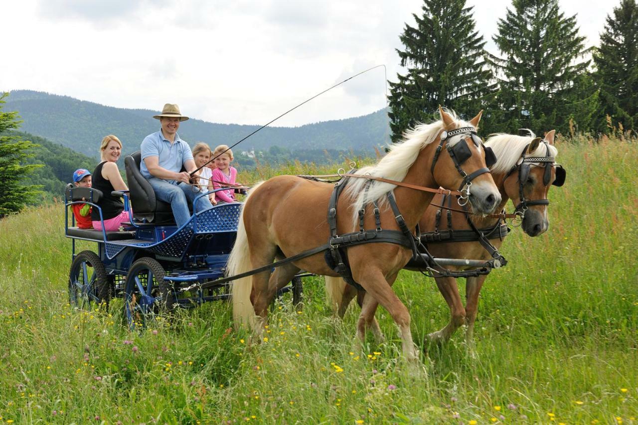 Hochgallinger Hof Siegsdorf Esterno foto
